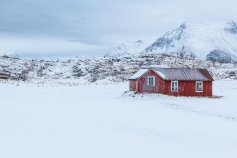 Rode hut in sneeuwlandschap