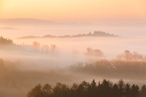 Mistig laagjeslandschap