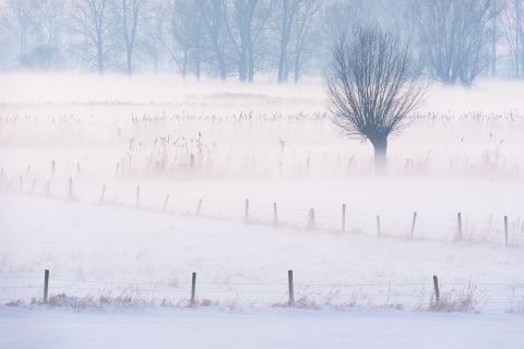 Grondmist in de Langemeersen