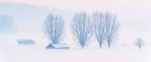 Winter in the Langemeersen