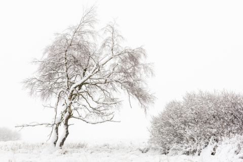 Correct belicht sneeuwlandschap