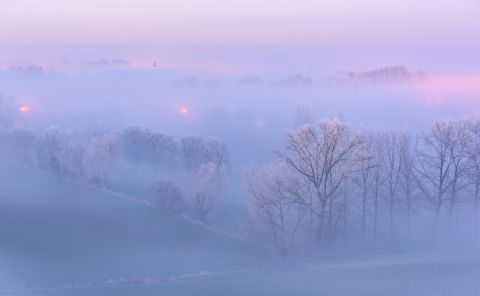 Winterse Vlaamse ardennen tijdens het blauwe uurtje