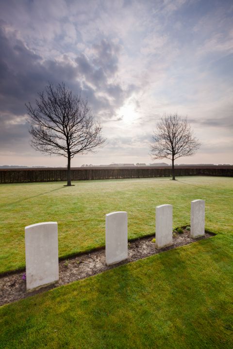 Young trees and graves