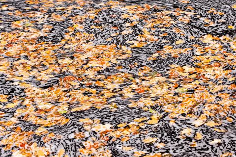 Abstract beeld van herfstbladeren in rivier