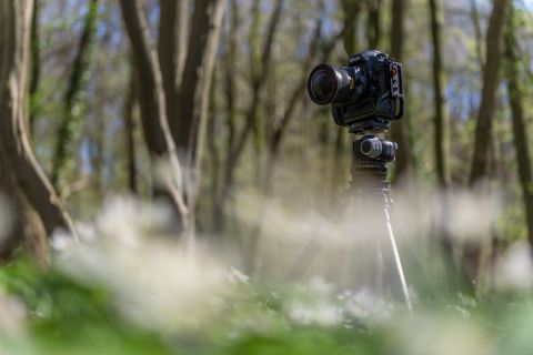 Camera en statief in het bos
